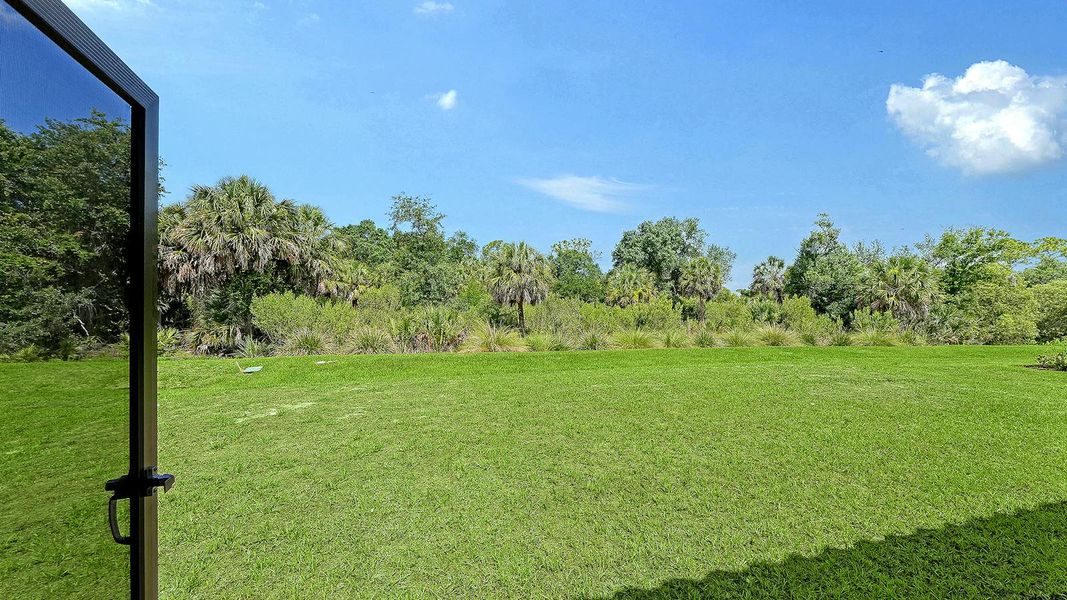 Natural landscape and outdoor views near Grand Park Real Estate and Homes for Sale in Sarasota, FL - Neal Communities in Sarasota (Image 48).