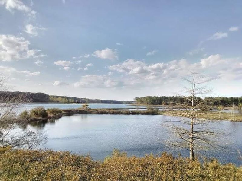 Natural landscape and outdoor views near Tidewater at Lakes of Cane Bay in Summerville (Image 48).