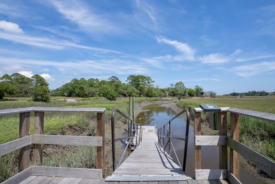 Natural landscape and outdoor views near in Seabrook Island (Image 35). Natural landscape and outdoor views near in Seabrook Island (Image 35).