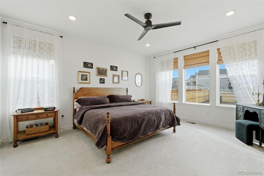 Primary suite on main floor, windows face back yard