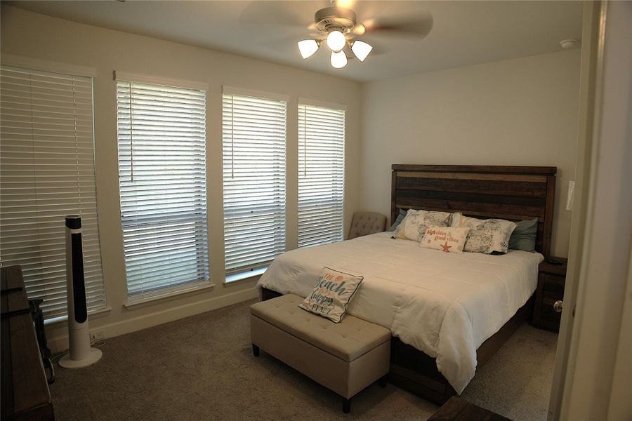 Bedroom with ceiling fan and carpet Bedroom with ceiling fan and carpet