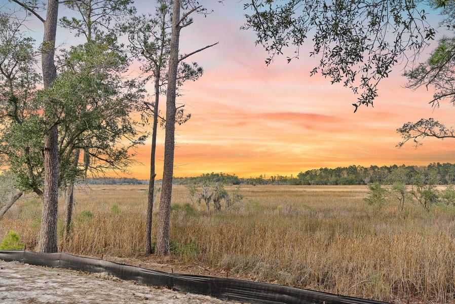 Natural landscape and outdoor views near  in Ravenel (Image 38).