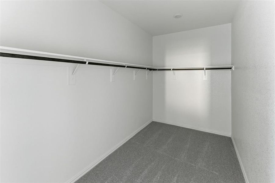 Walk in closet featuring carpet flooring