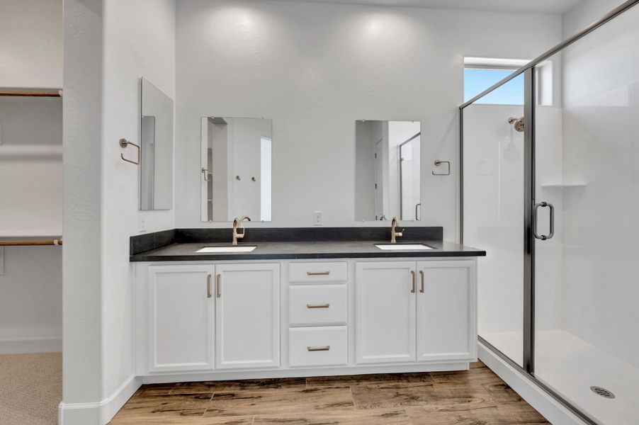 Owner's Bath