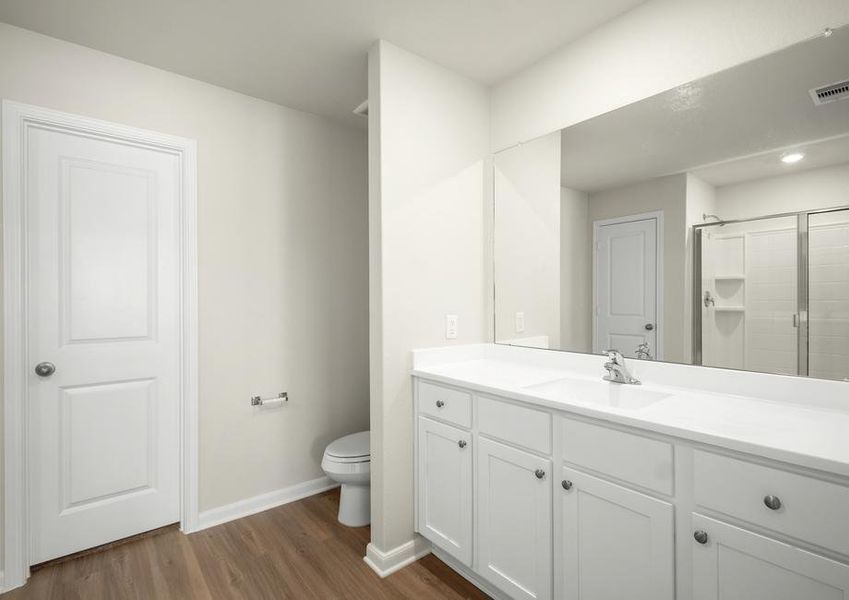 The master bathroom has a large vanity and a step in shower.