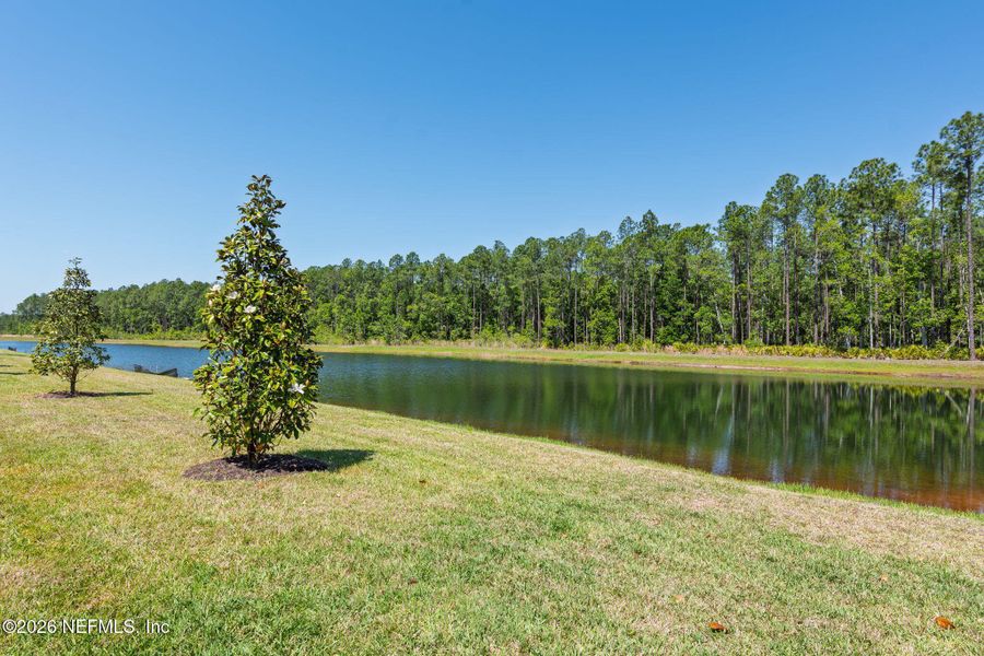Natural landscape and outdoor views near in St. Augustine (Image 34). Natural landscape and outdoor views near in St. Augustine (Image 34).