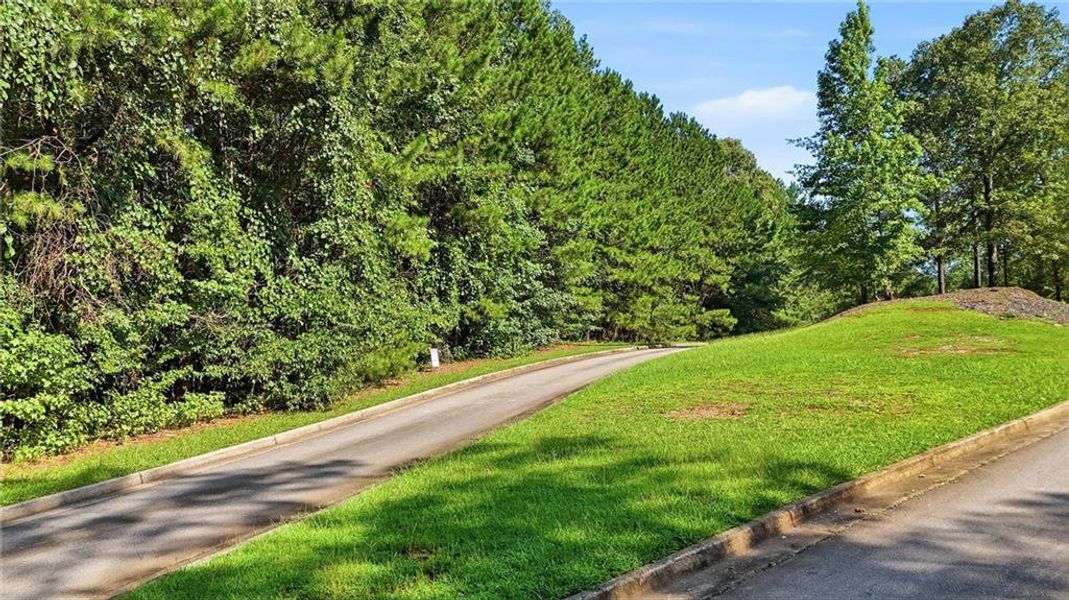 Natural landscape and outdoor views near  in Conyers (Image 13).