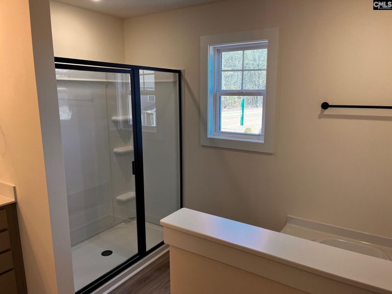 Image 51 of a home in Blythewood Farms.