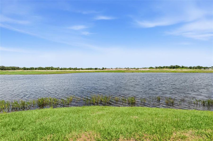 Natural landscape and outdoor views near in Bradenton (Image 42). Natural landscape and outdoor views near in Bradenton (Image 42).