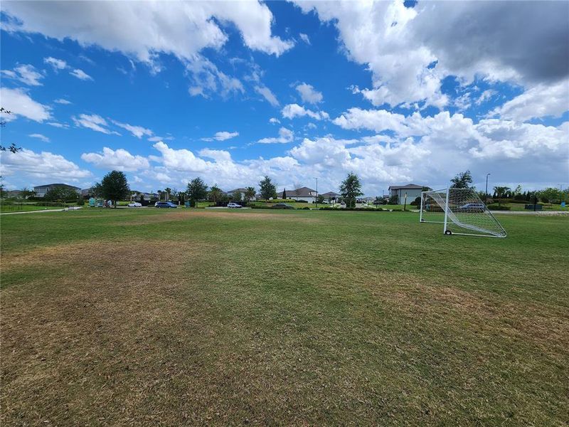 Natural landscape and outdoor views near in Parrish (Image 34). Natural landscape and outdoor views near in Parrish (Image 34).