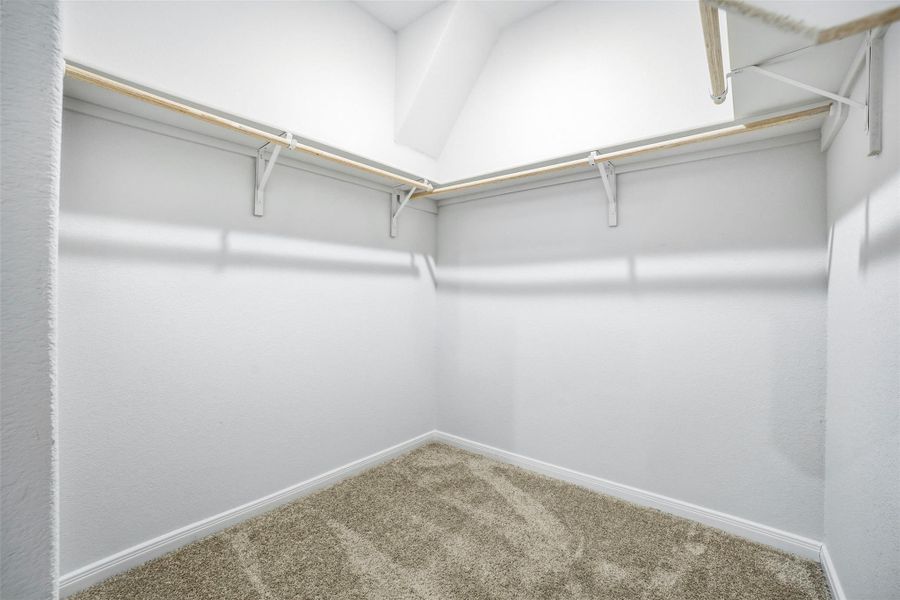 Spacious closet featuring carpet Spacious closet featuring carpet