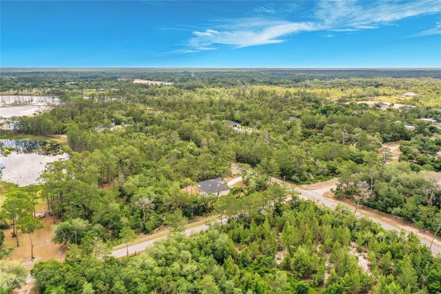 Natural landscape and outdoor views near  in Eustis (Image 52).