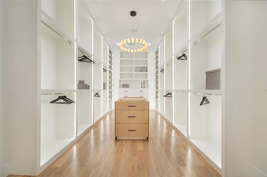 Spacious closet featuring light wood-style floors