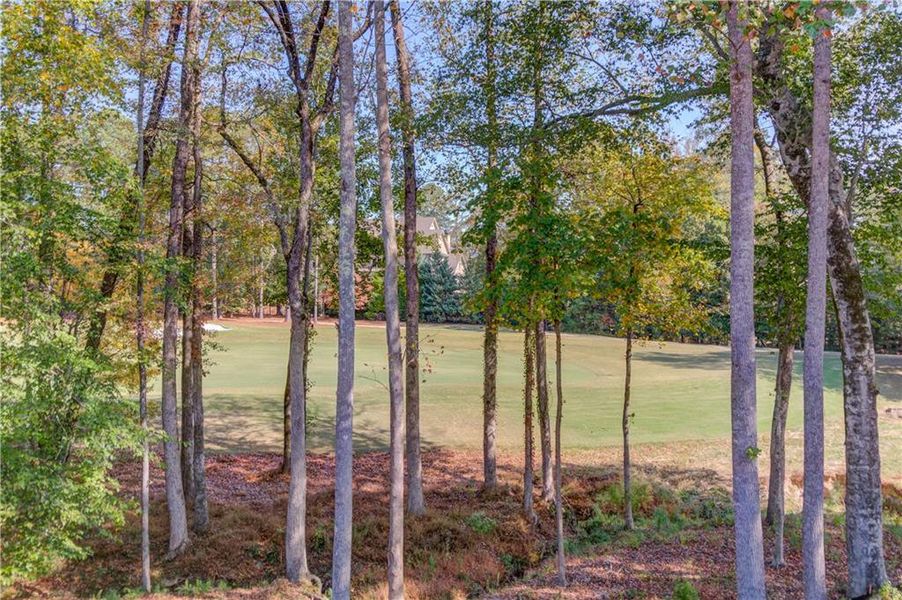 Natural landscape and outdoor views near  in Suwanee (Image 19).