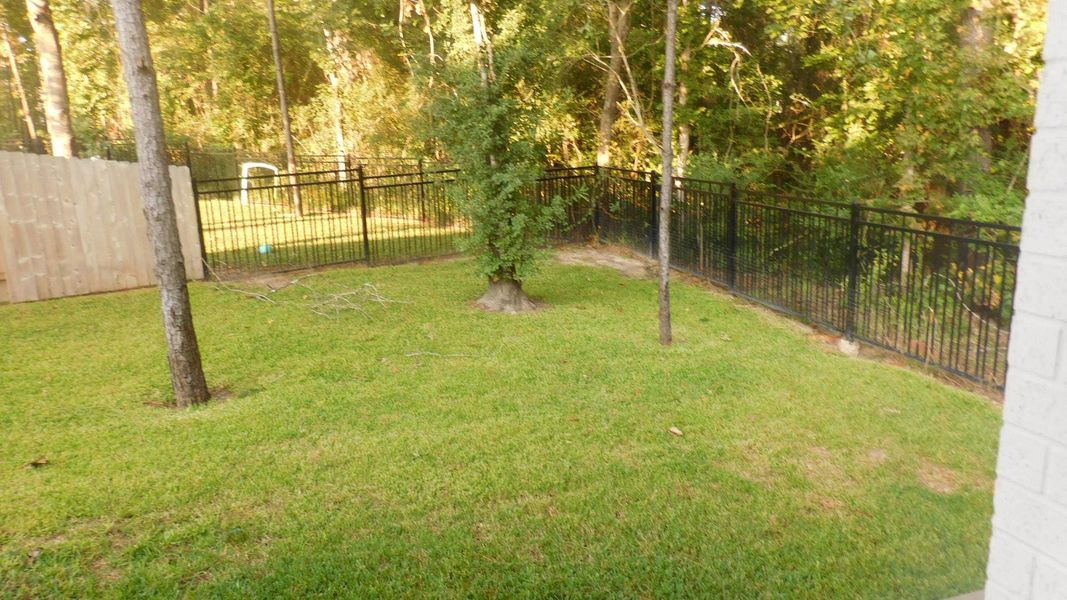 Second View of Back Yard