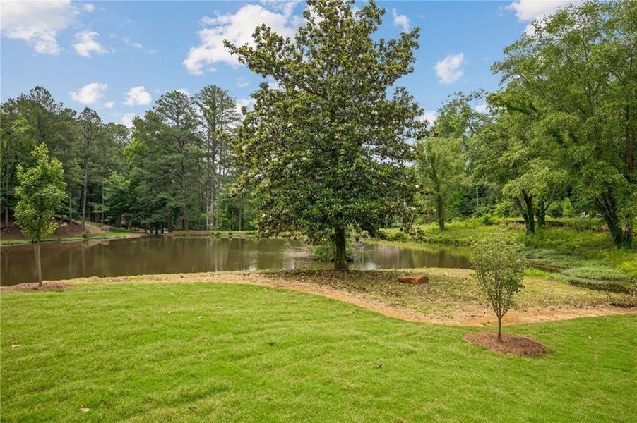 Natural landscape and outdoor views near  in Roswell (Image 23).