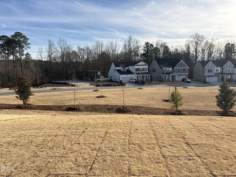 Photo_Jan_21_26 03-41-13 PM