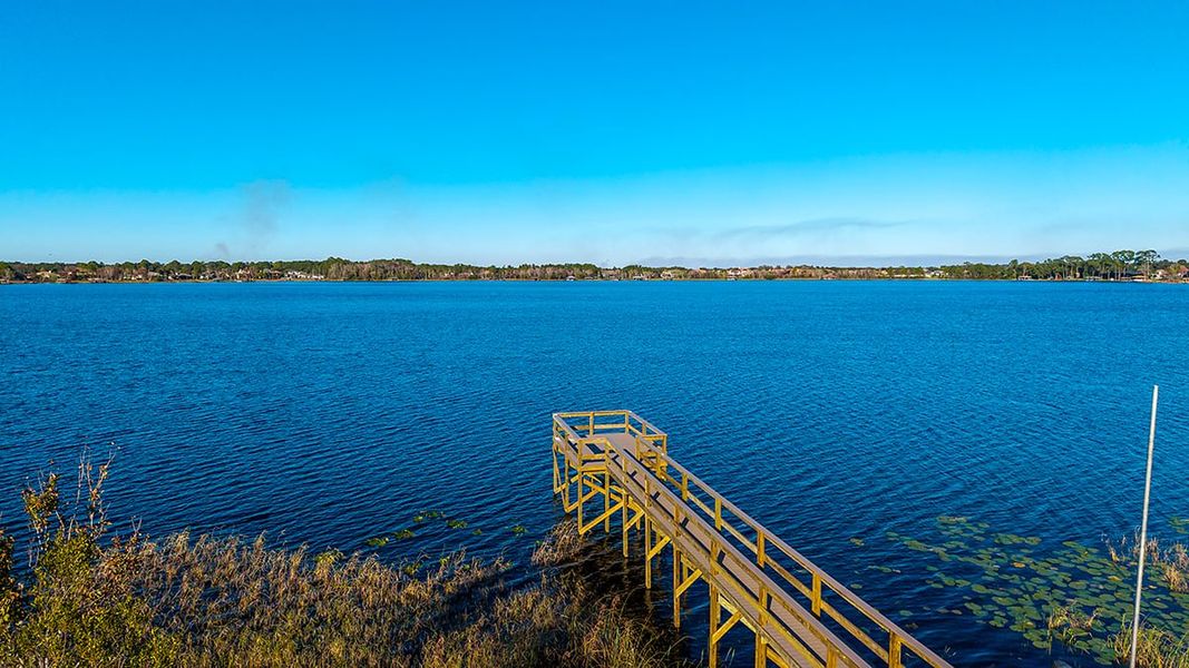 Natural landscape and outdoor views near Lochside in Mount Dora (Image 36). Natural landscape and outdoor views near Lochside in Mount Dora (Image 36).