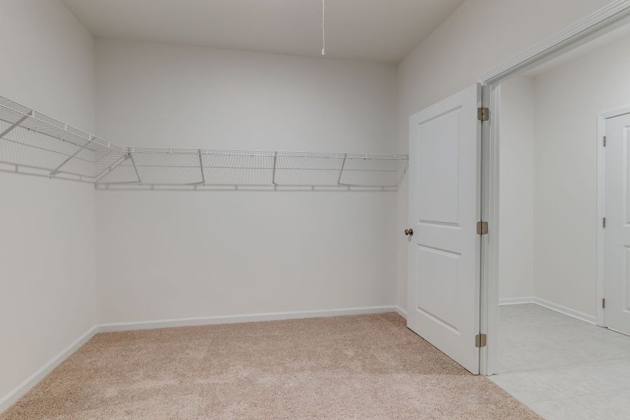 HUGE walk-in closet!!! With access to the laundry room (right).