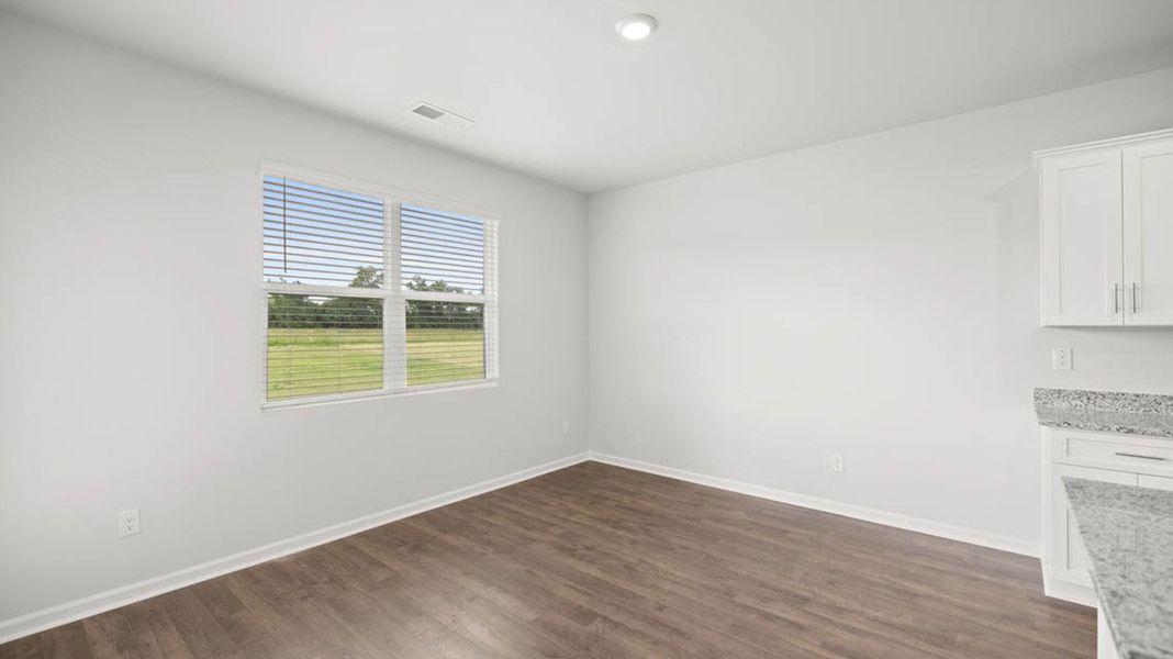 Representative unfurnished interior of a home built from the Denton by D.R. Horton in Chukker Creek Landing, Aiken (Image 11).