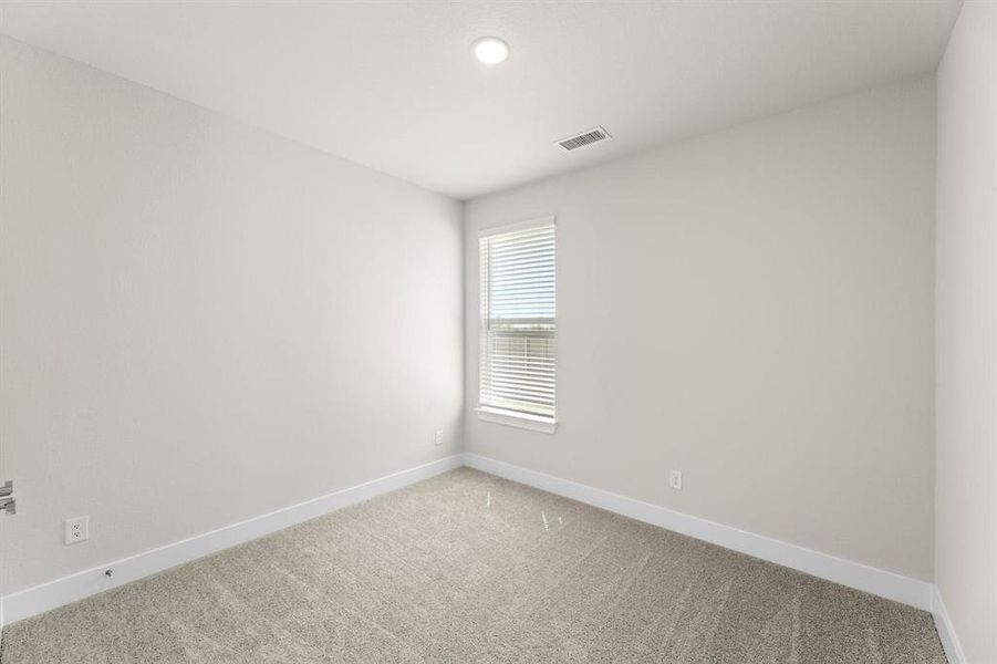 Discovery Collection at Painted Tree