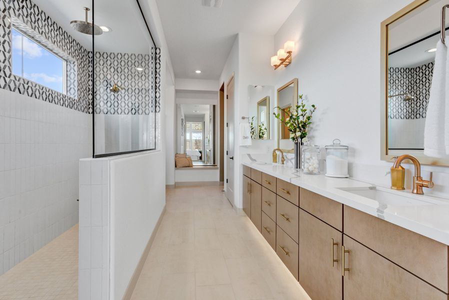 Owner's Bath
