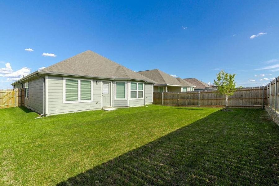 Spacious backyard Spacious backyard