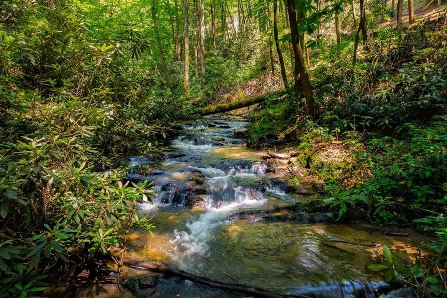 Natural landscape and outdoor views near in Blue Ridge (Image 30). Natural landscape and outdoor views near in Blue Ridge (Image 30).