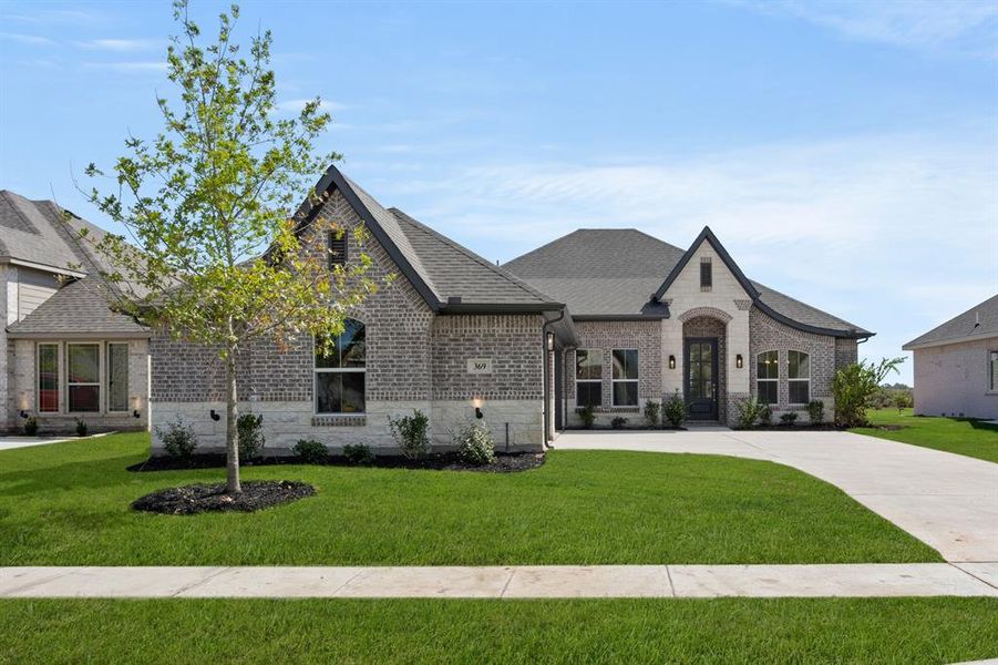 369 Paddle Boat- Front-1