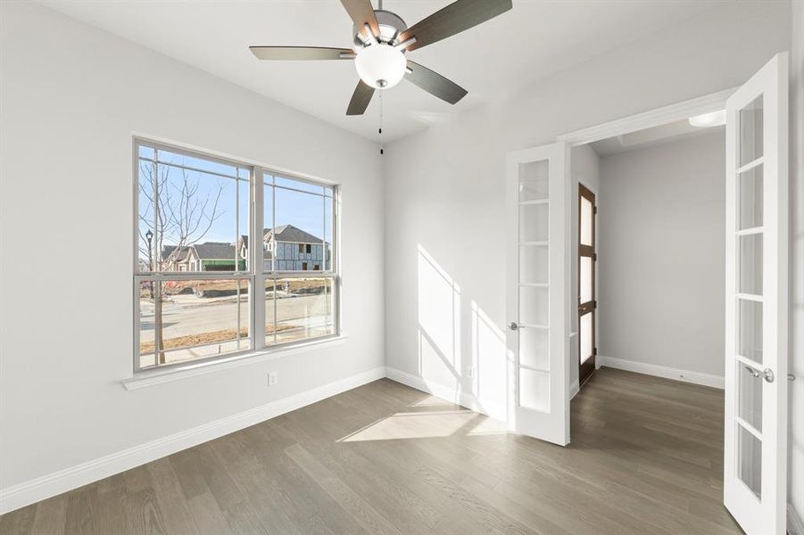 04. 3209 Agnew - Study