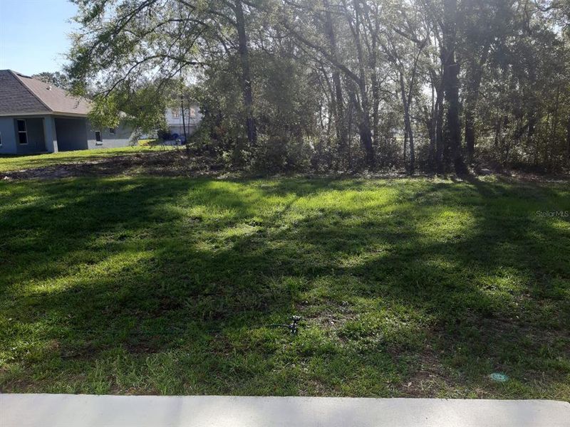 Natural landscape and outdoor views near  in Ocala (Image 19).