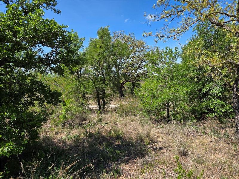 Natural landscape and outdoor views near  in San Saba (Image 20).