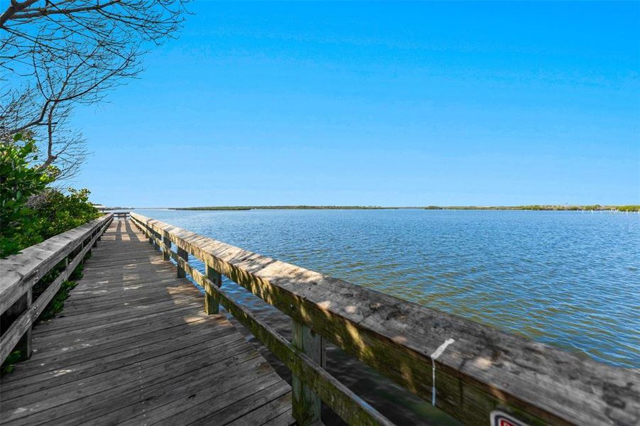 Natural landscape and outdoor views near in New Smyrna Beach (Image 15). Natural landscape and outdoor views near in New Smyrna Beach (Image 15).