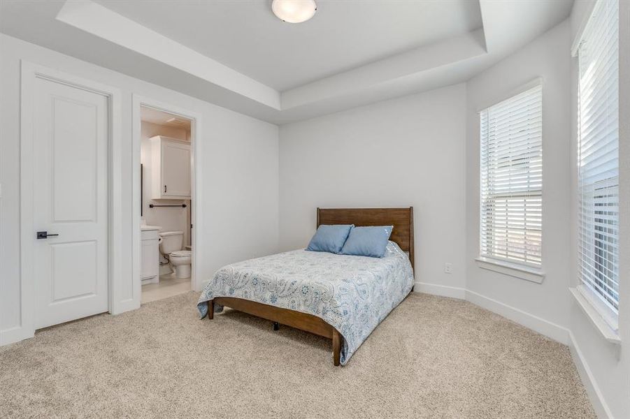 Bedroom with carpet, connected bathroom, and a raised ceiling