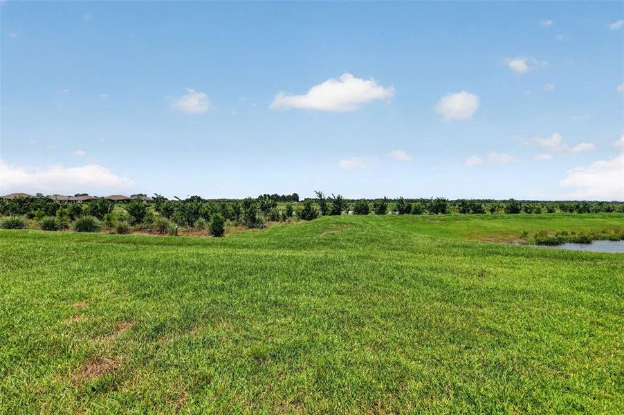 Natural landscape and outdoor views near Skye Ranch Community Group Page in Sarasota (Image 57). Natural landscape and outdoor views near Skye Ranch Community Group Page in Sarasota (Image 57).