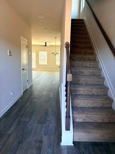 Spacious, unfurnished interior of a new home in Carolina, Palmetto (Image 6).