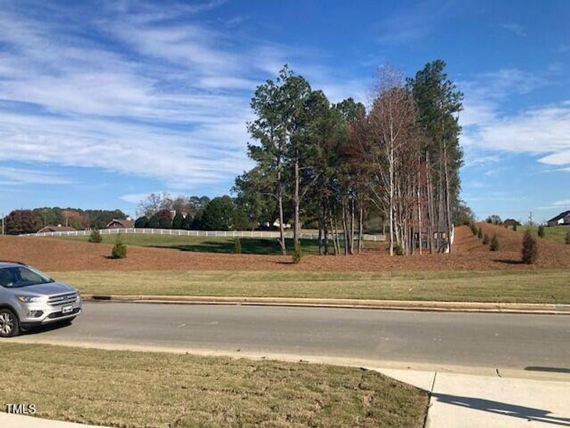 view from front porch