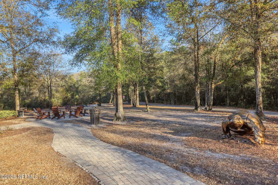 Natural landscape and outdoor views near  in St. Augustine (Image 70).