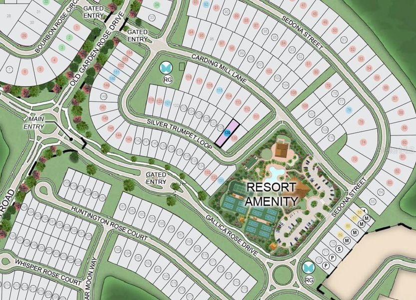 Image 11 of a home in Esplanade at McKinnon Groves.