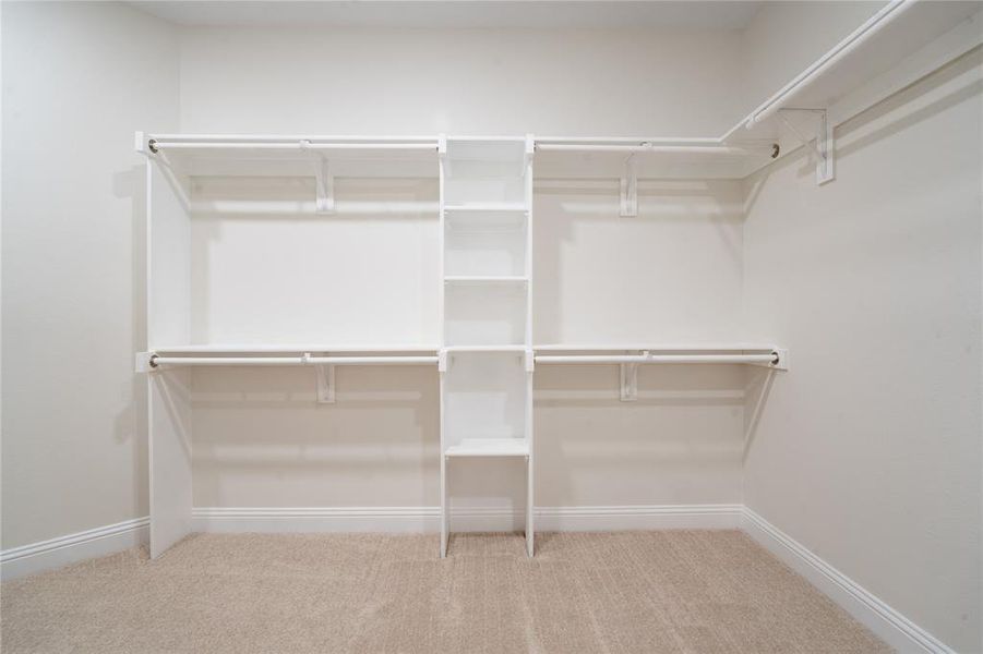 Walk in closet with carpet