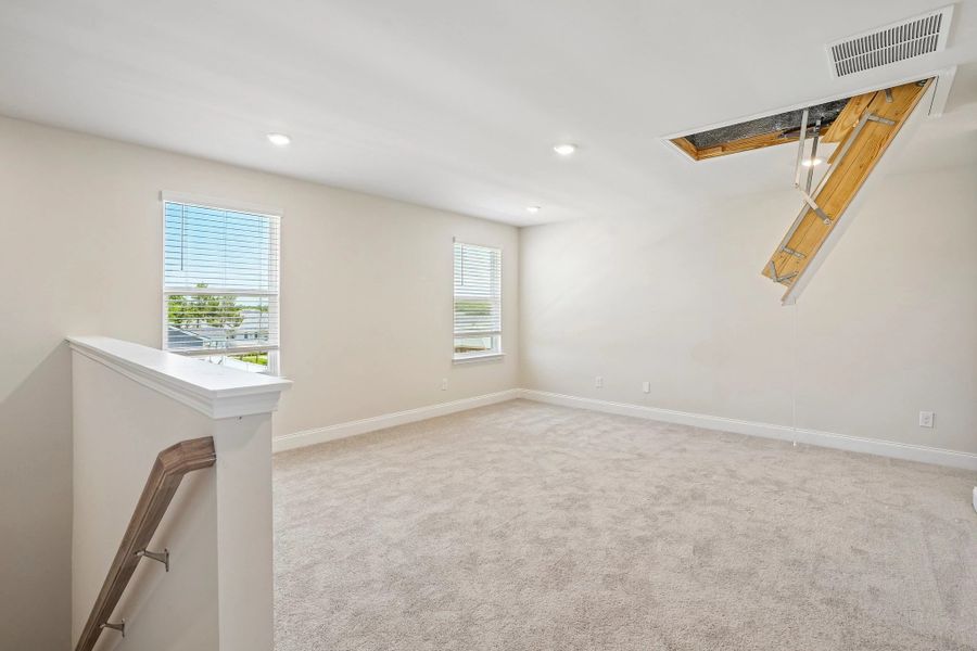 Loft & Attic Access