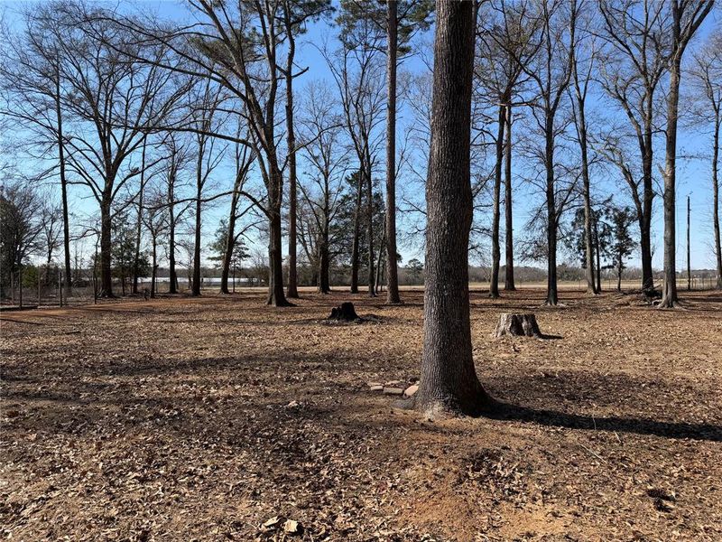 Natural landscape and outdoor views near  in Naples (Image 31).