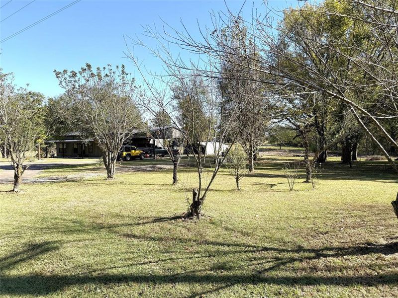 Natural landscape and outdoor views near in Winnsboro (Image 22). Natural landscape and outdoor views near in Winnsboro (Image 22).