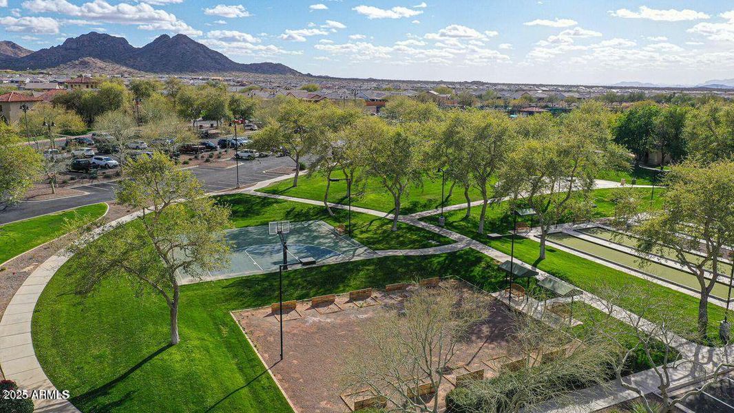 36 - Sun City Festival