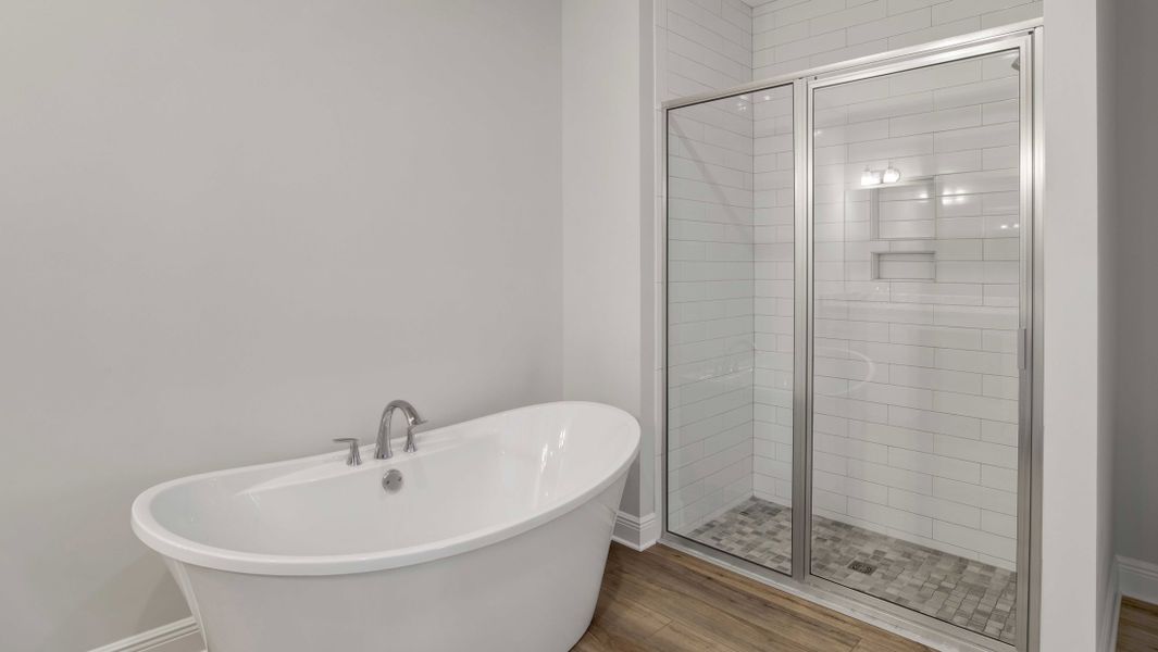 Image 60 representing the Drexel by Maronda Homes in Applewood Reserve, Lakeland, FL.