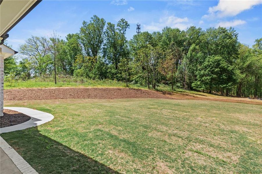 Exterior details and patio area of a home in , Canton (Image 15).