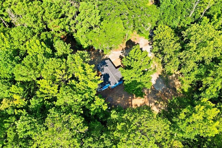 Natural landscape and outdoor views near  in Conyers (Image 19).