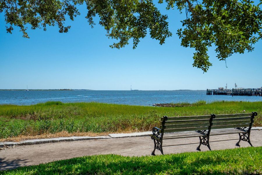 Natural landscape and outdoor views near  in Charleston (Image 39).