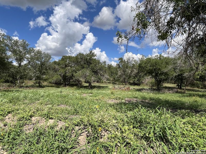 Natural landscape and outdoor views near in Floresville (Image 8). Natural landscape and outdoor views near in Floresville (Image 8).