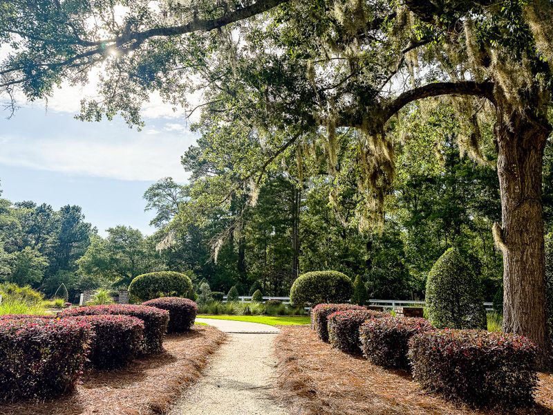 Natural landscape and outdoor views near  in Summerville (Image 30).
